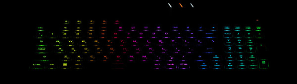 The keyboard is equipped with dynamic backlighting (per key RGB) with three brightness levels (the fourth state is the backlight is off).