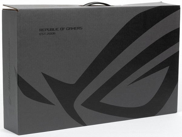 The cardboard packaging is designed in accordance with the general style of the ROG (Republic of Gamers) family of devices. For ease of carrying, it is equipped with an insertable handle made of high-density polyethylene.