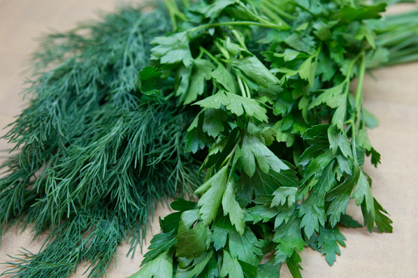 For this test, we used dill and parsley, after separating the sprigs from the main stem. The photo below shows the capacity of the mesh trays when loosely packed — 25 g each. More can be placed if necessary.