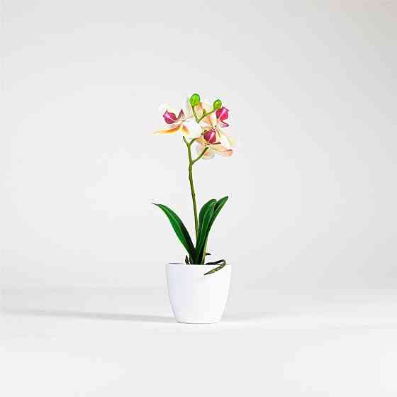 TRQ-214 Orchid Artificial Flower 