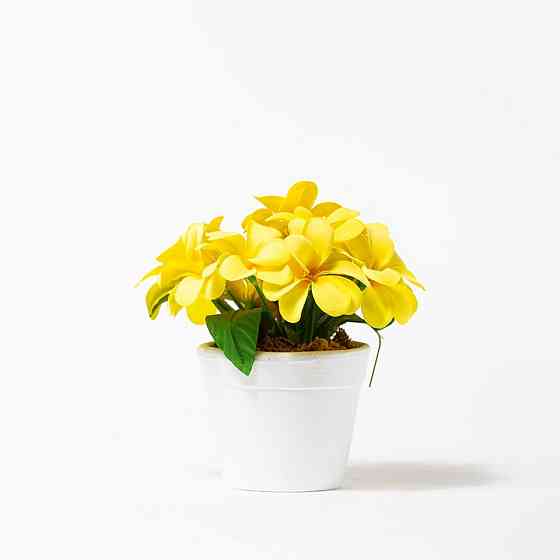 LEELAVADEE Decorative Artificial Flower Pots 