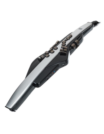 ROLAND Pro AE-30 Aerophone Gazimağusa