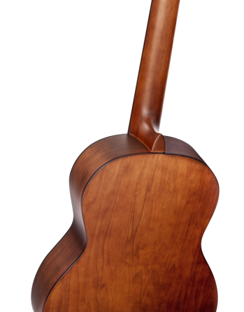 ORTEGA R55DLX-BFT 4/4 Classical Guitar  - изображение 4