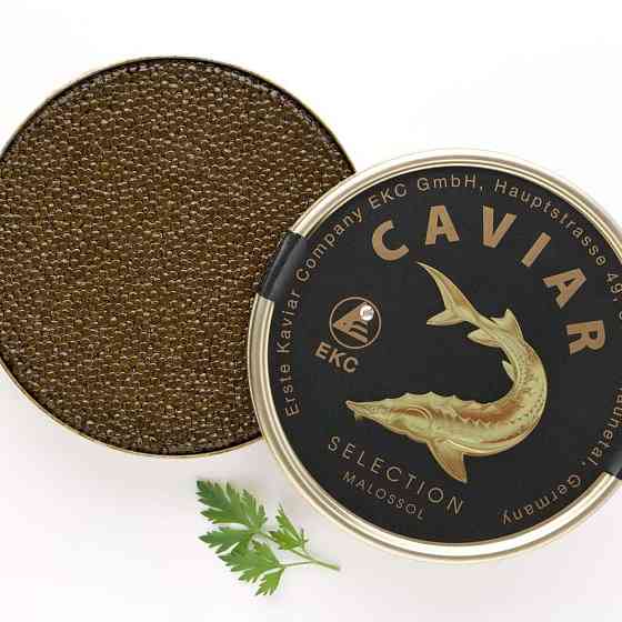 Sturgeon Caviar 500 g Gazimağusa