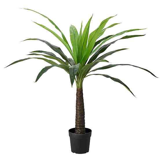 FEJKA artificial indoor/outdoor potted plant/palm tree, 24 cm Gazimağusa