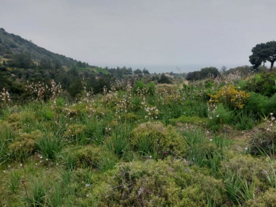 Development land with an area of 811 m2 was sold to Tatlys Girne
