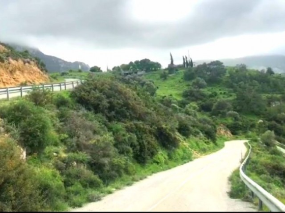 ALAGADI HAS 35 ACRES OF TURKISH DECREE, ROAD WATER, ELECTRICITY READY Girne