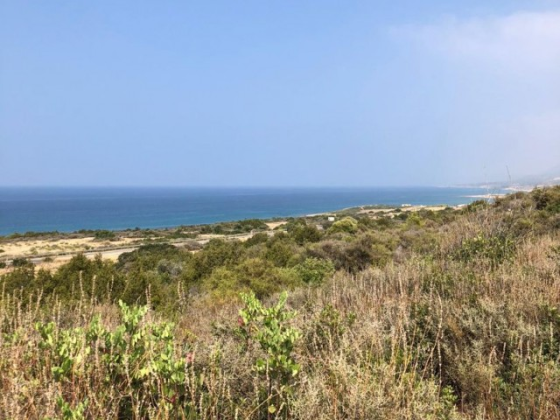 UNIQUE OPPORTUNITY! 41 DECARES OF LAND WITH STUNNING SEA VIEWS Nicosia