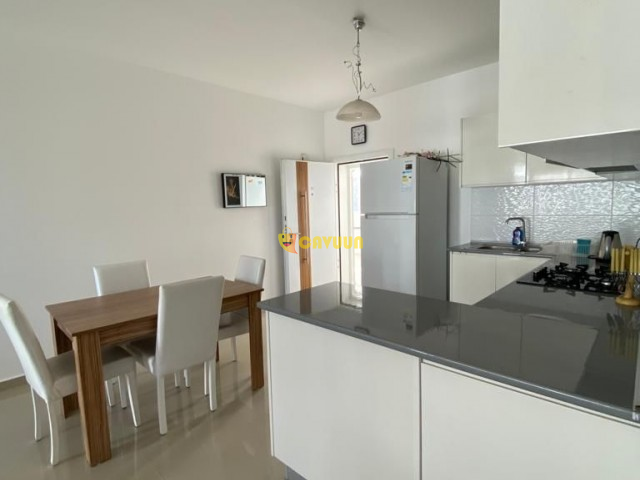 High rental income apartment for sale in Long Beach Yeni İskele - photo 5