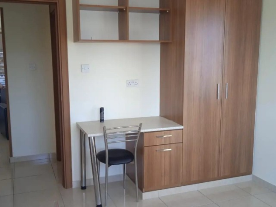 GONYELI ENIKENT, DISTRICT 2+1, FURNISHED APARTMENT FOR RENT Nicosia