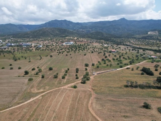 APPROXIMATELY 1 PIECE OF LAND FOR SALE IN TATLISU Gazimağusa