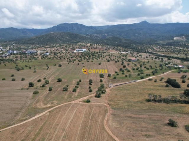 APPROXIMATELY 1 PIECE OF LAND FOR SALE IN TATLISU Gazimağusa - photo 3