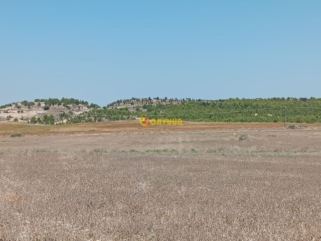 LAND SERDARLI TURKISH PRODUCTION 3 CABIN ONLY 11.5 DEC VERY CLOSE TO THE HIGHWAY Gazimağusa - изображение 3