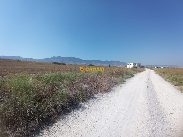 LAND SERDARLI TURKISH PRODUCTION 3 CABIN ONLY 11.5 DEC VERY CLOSE TO THE HIGHWAY Gazimağusa - photo 2