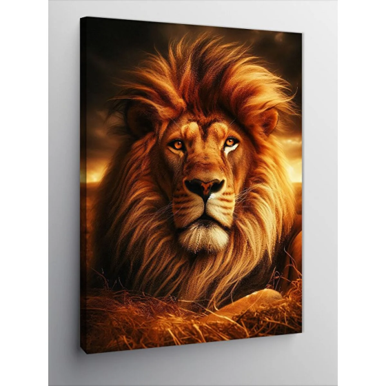 Tablomega Canvas Print Male Lion 70x100 cm Istanbul