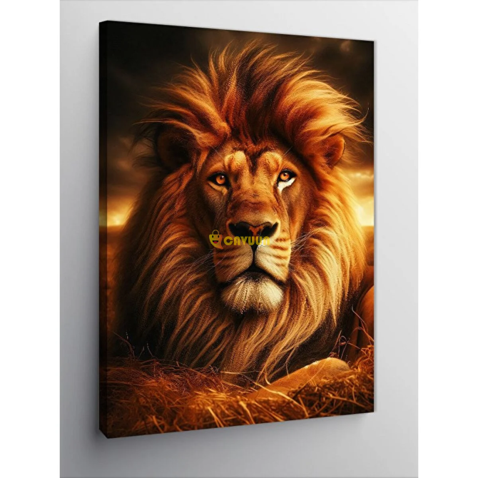 Tablomega Canvas Print Male Lion 70x100 cm Istanbul - photo 1