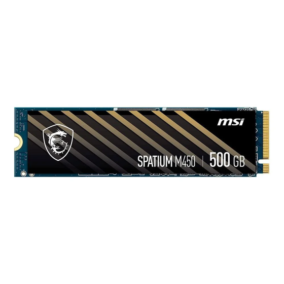 Msi SPATIUM M450 PCIe 4.0 NVMe M.2 500GB SSD (3600MB Read / 2300MB Write) Стамбул