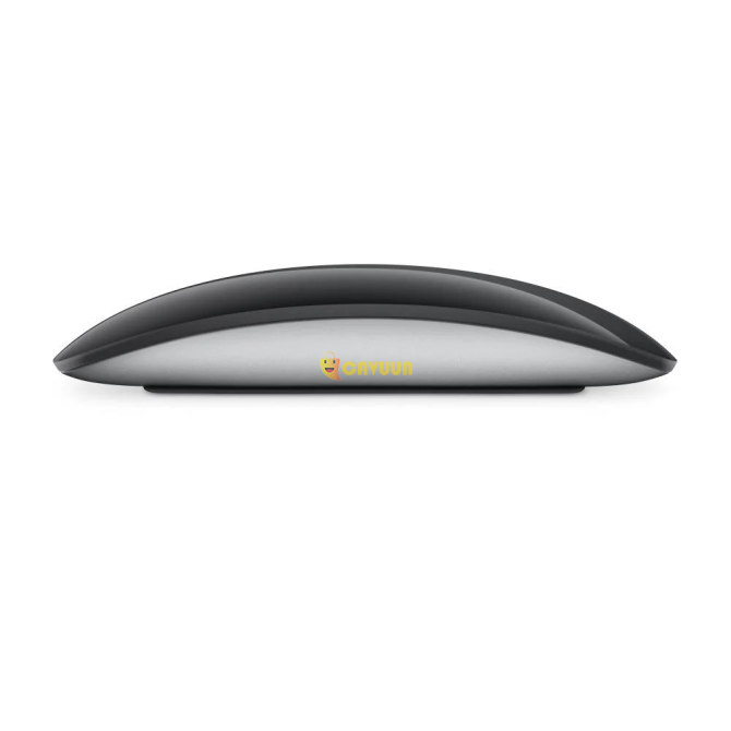 Apple MMMQ3TU/A Magic Mouse Multi Touch Surface - Black Istanbul - photo 4