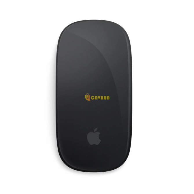 Apple MMMQ3TU/A Magic Mouse Multi Touch Surface - Black Istanbul - photo 2