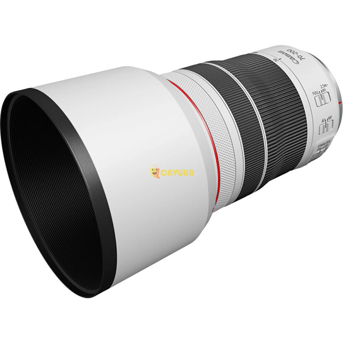 Объектив Canon RF 70-200mm F/4L IS USM Стамбул - изображение 8