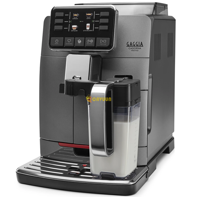 Gaggia RI9604/01 Cadorna Prestige полностью автоматическая серая кофемашина Стамбул - изображение 5