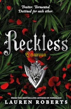 Reckless (Powerless Trilogy) Istanbul - photo 1