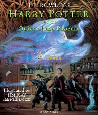 Harry Potter and the Order of the Phoenix Istanbul - photo 1