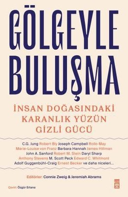 Meeting the Shadow - The Hidden Power of the Dark Side of Human Nature Istanbul