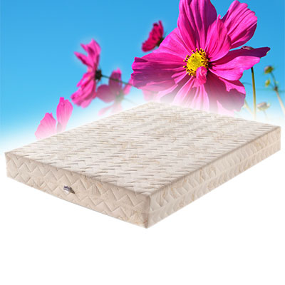 Butaş Visco 105x200 Mattress 